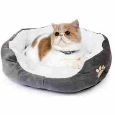 cucce-per-gatti