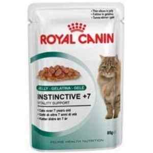 ROYAL Canin Ageing +12 Jelly