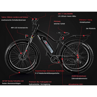 Himiway-Bicicletta-Elettrica 3