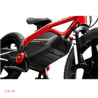 Ducati Kid e-Bike 2