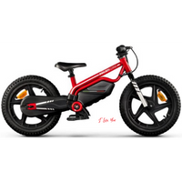Ducati Kid e-Bike 3