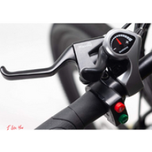 Mud I-bike Bici elettrica 4