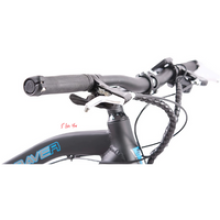 Braver Bici elettrica 3