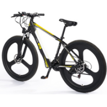 Mud I-bike Bici elettrica 3