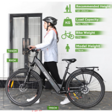 ESKUTE Bici elettrica 4
