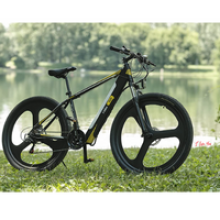 Mud I-bike Bici elettrica 2
