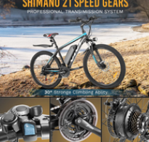 Vivi Bicicletta Elettrica 3  