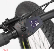 Fischer MTB MONTIS 5.0i, bici elettrica 3