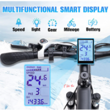 HITWAY Bicicletta Elettrica 2
