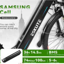 ESKUTE Bici elettrica 2