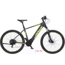 Fischer MTB MONTIS 5.0i, bici elettrica
