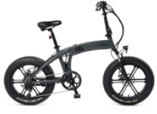 Fat Kong - Bici Elettrica 