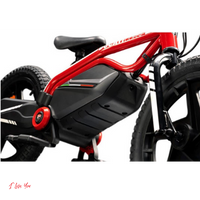 Ducati Kid e-Bike 2
