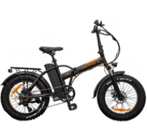 Italia Power e-bike