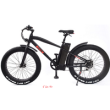 REVOE I- rius e-bike